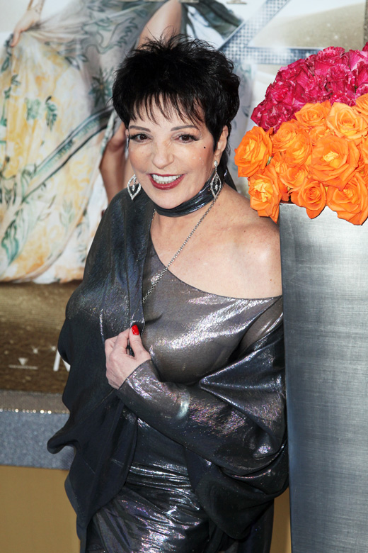 Лайза Минелли (Liza Minnelli) / © Debby Wong / Shutterstock.com