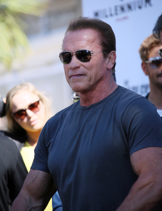 Арнольд Шварценеггер (Arnold Schwarzenegger) / © cinemafestival / Shutterstock.com